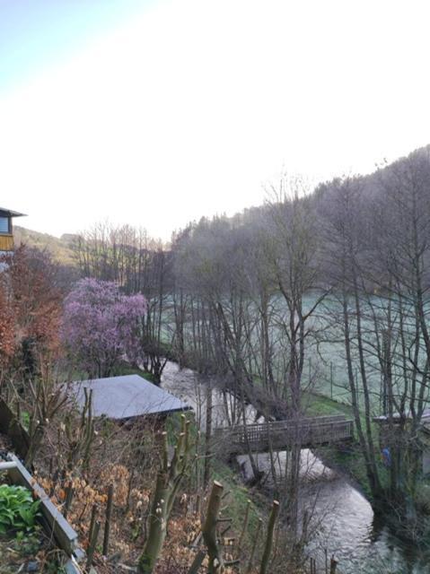 Lange Apartment Brilon